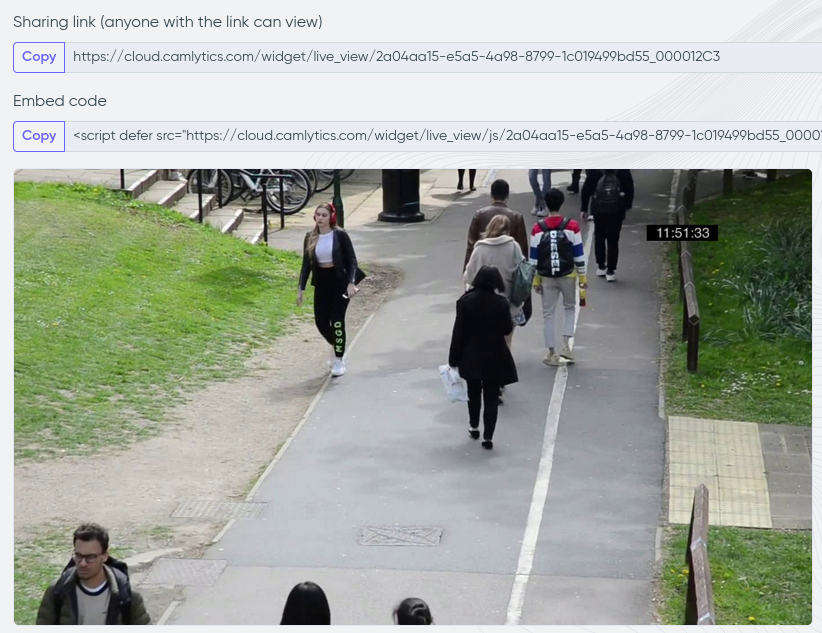 widget de vista en vivo
